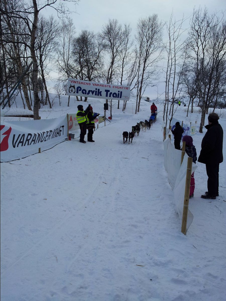 Dog Race01